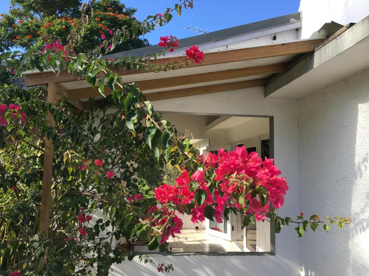 Ancella'S Garden Apartment-Beach-5Min Drive, 1 Hr Montego Bay, 25 Mins Ocho Rios, Continental Breakfast Runaway Bay Esterno foto