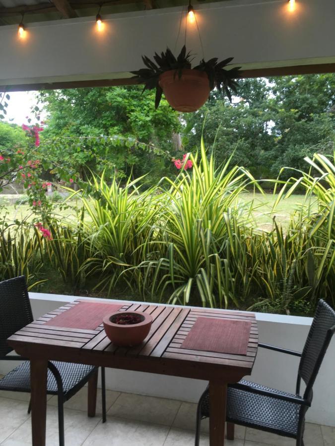 Ancella'S Garden Apartment-Beach-5Min Drive, 1 Hr Montego Bay, 25 Mins Ocho Rios, Continental Breakfast Runaway Bay Esterno foto