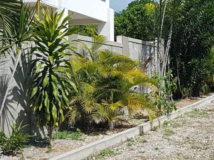 Ancella'S Garden Apartment-Beach-5Min Drive, 1 Hr Montego Bay, 25 Mins Ocho Rios, Continental Breakfast Runaway Bay Esterno foto