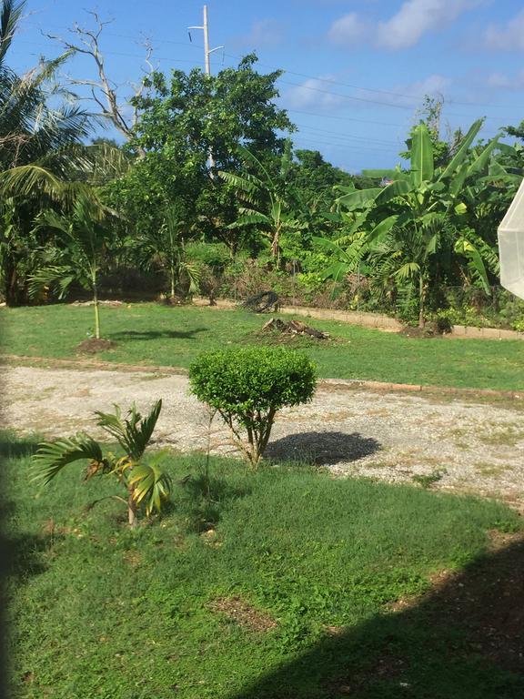 Ancella'S Garden Apartment-Beach-5Min Drive, 1 Hr Montego Bay, 25 Mins Ocho Rios, Continental Breakfast Runaway Bay Esterno foto